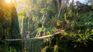 A hiker crossing a rope bridge in the jungle