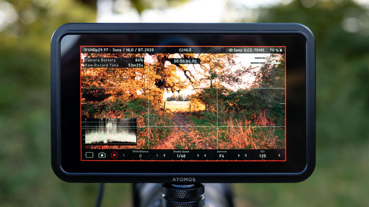 Atomos Shinobi II camera monitor on top of a camera outdoor with green trees in the background