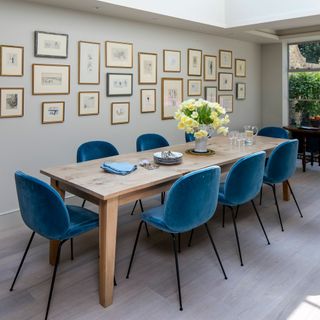 A grey dining room with a long wooden table, blue velvet chairs and lots of pictures on the wall