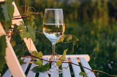 Glass of white wine on garden chair in vineyard