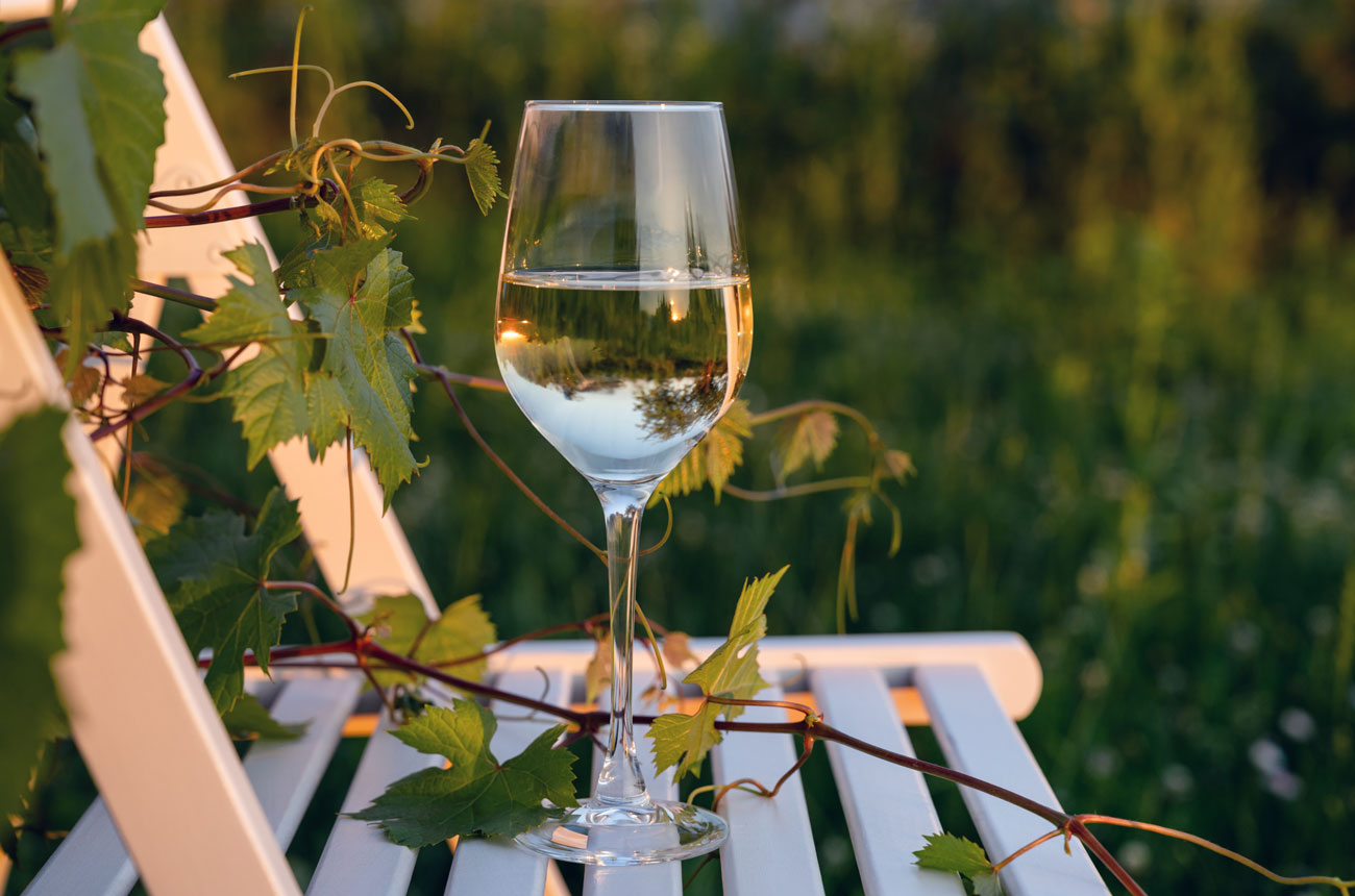 Glass of white wine on garden chair in vineyard