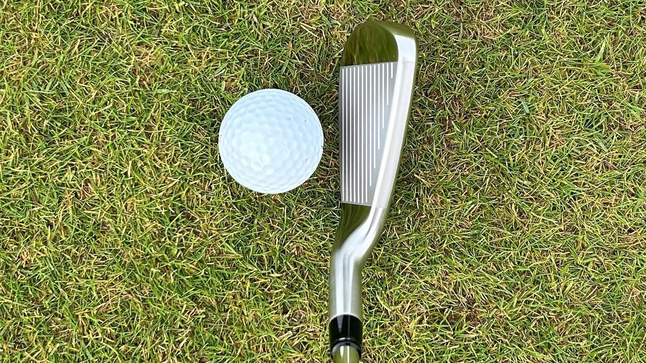 Photo of the Wilson 2025 Dynapwr 6 iron at address