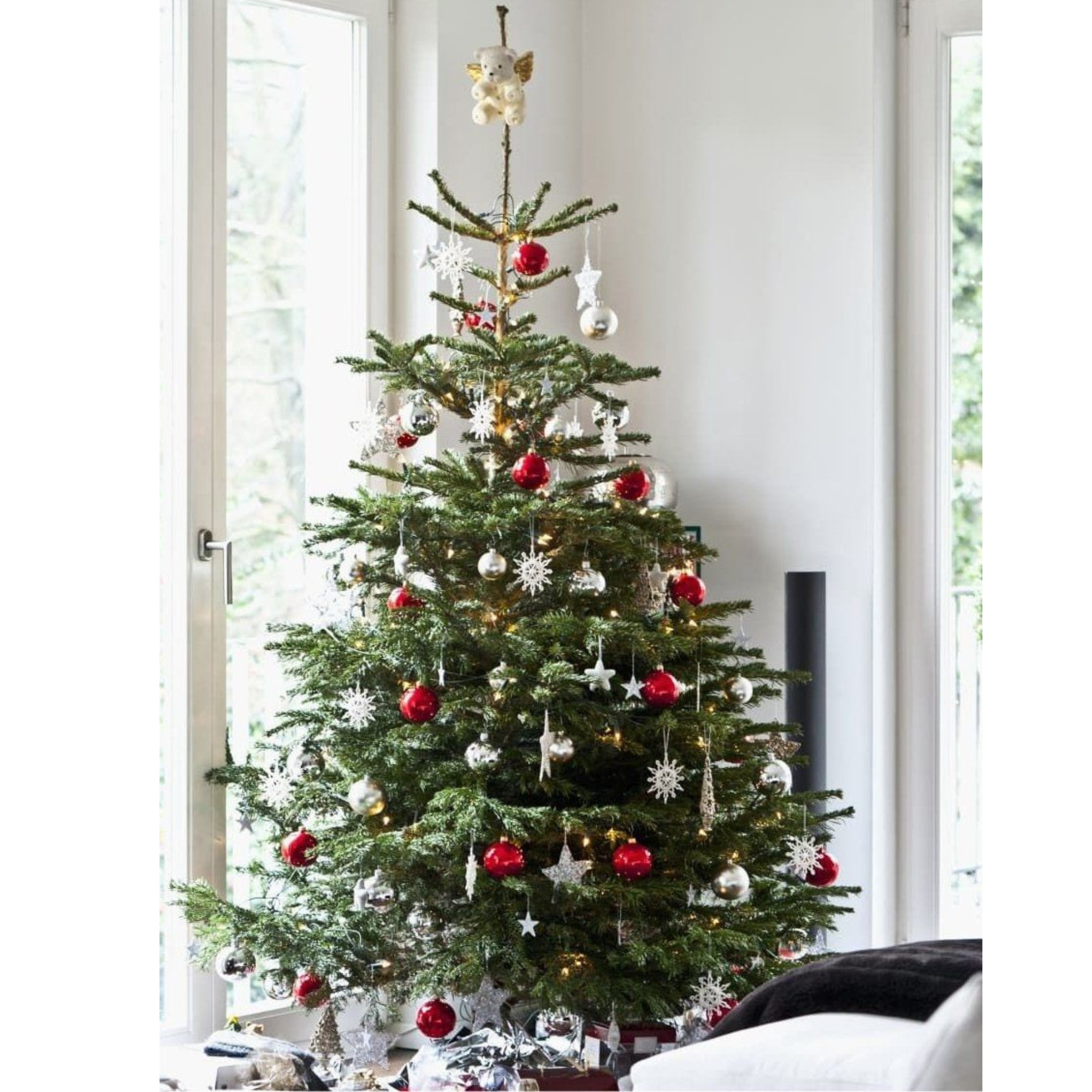 Fresh Cut Non-Drop Luxury Nordmann Fir Christmas Tree (approx 7-8ft)