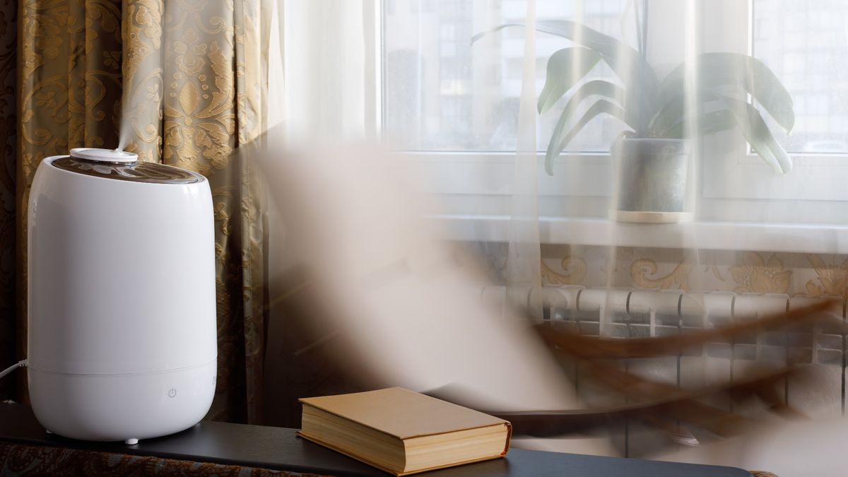 how to buy a humidifier on this best day