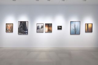 Installation view of Greppon, in the exhibition