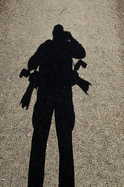 Snapping shadows.