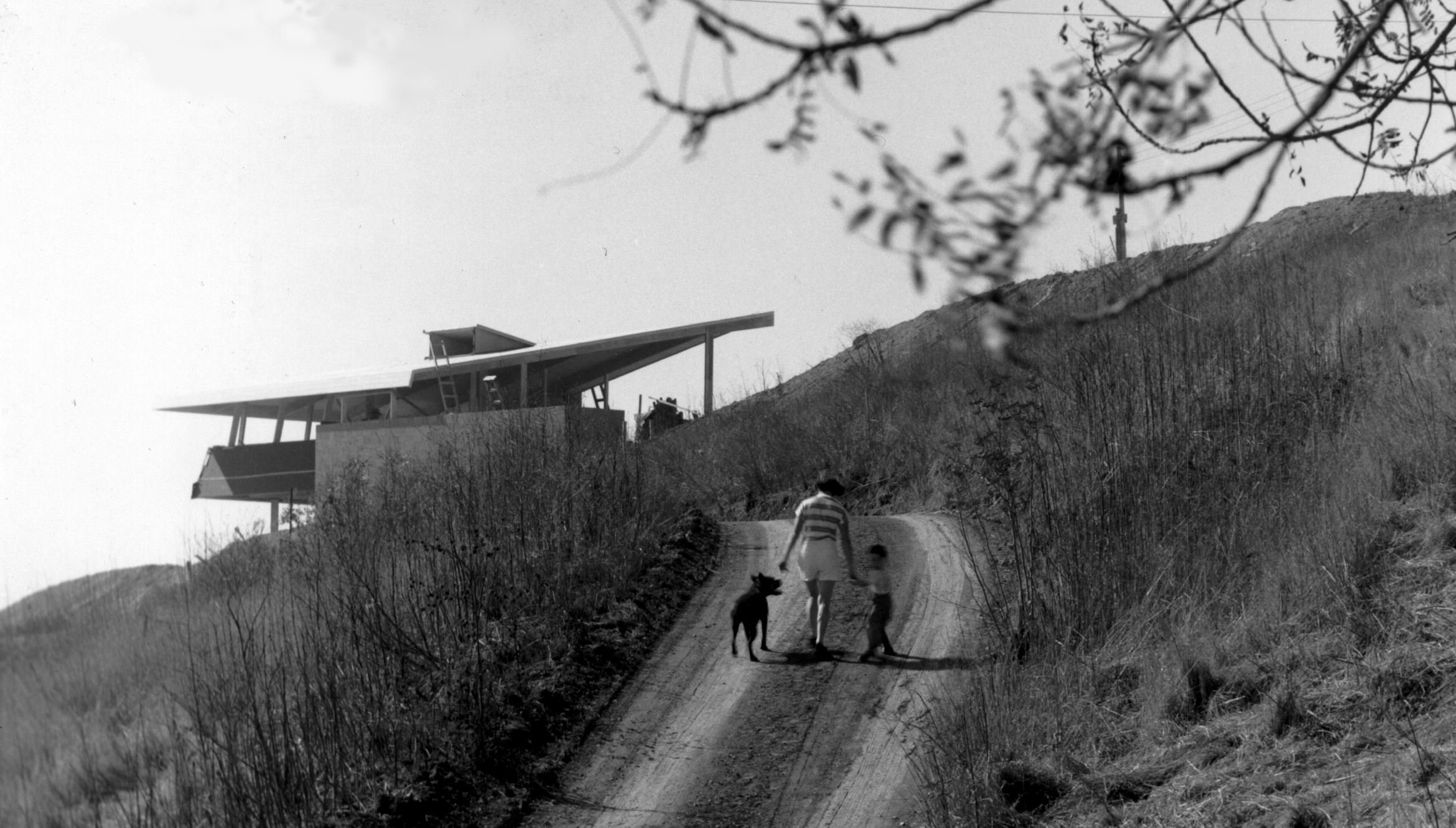 A woman, her child and a dog approach a modernist house up a hill in Los Angeles