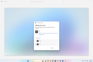 Windows Hello PIN login