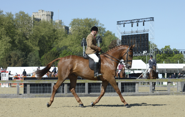 Grand-Slam-winning-at-Windsor-2015.jpg