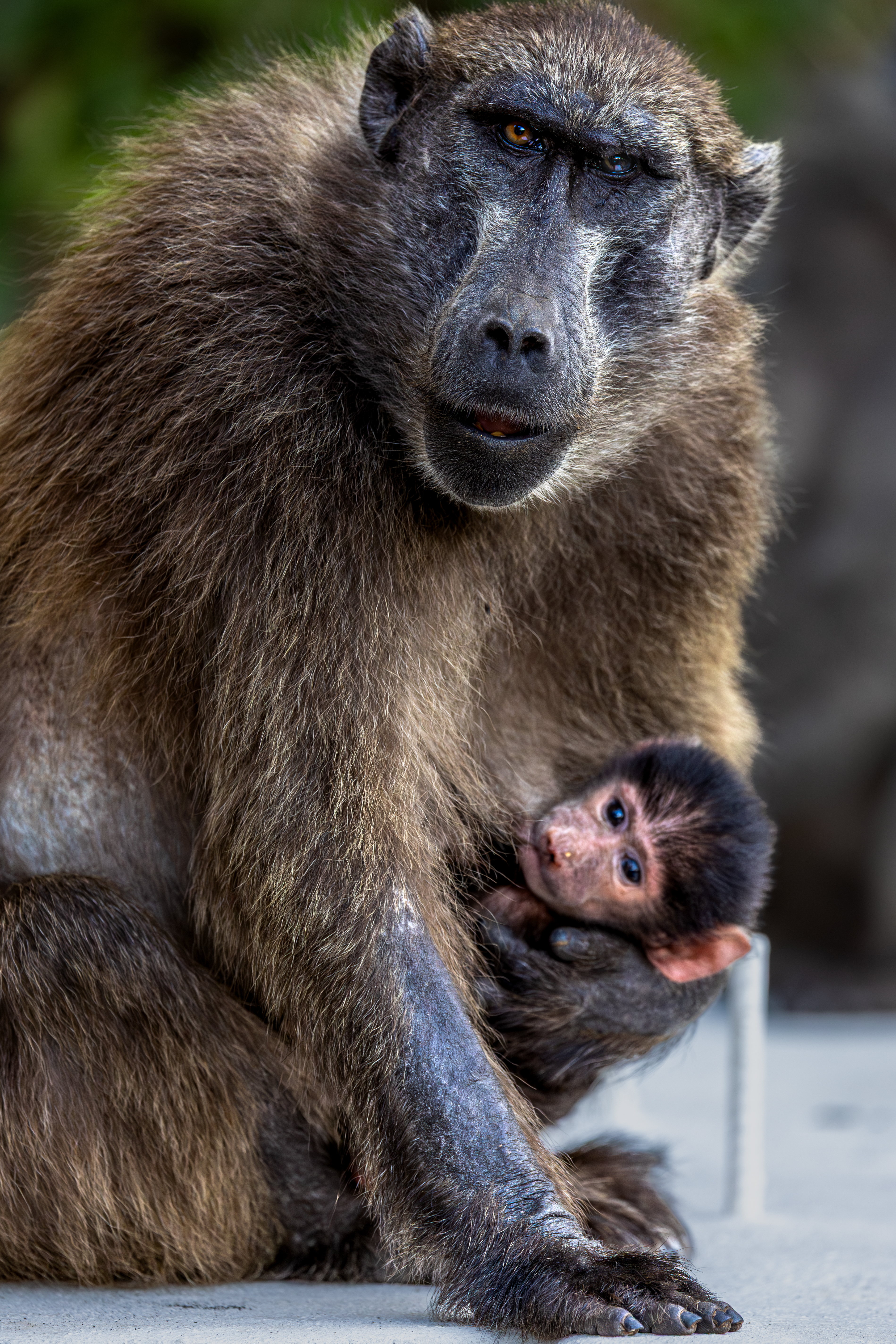 GuruShots - Nature March 2026