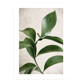 An art print featuring a photo of a leaf on a neutral textured background