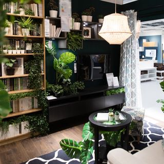 room with peacock blue wall and tv plants with book rack