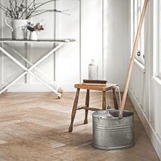 Mop and bucket sitting on wooden floor