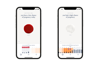 period tracking app on a phone screen