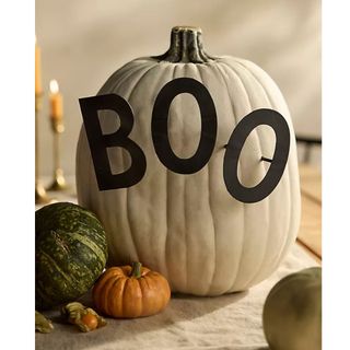 BOO Pumpkin Stake Set