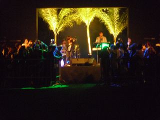 Live music band on a stage with three palm trees behind them