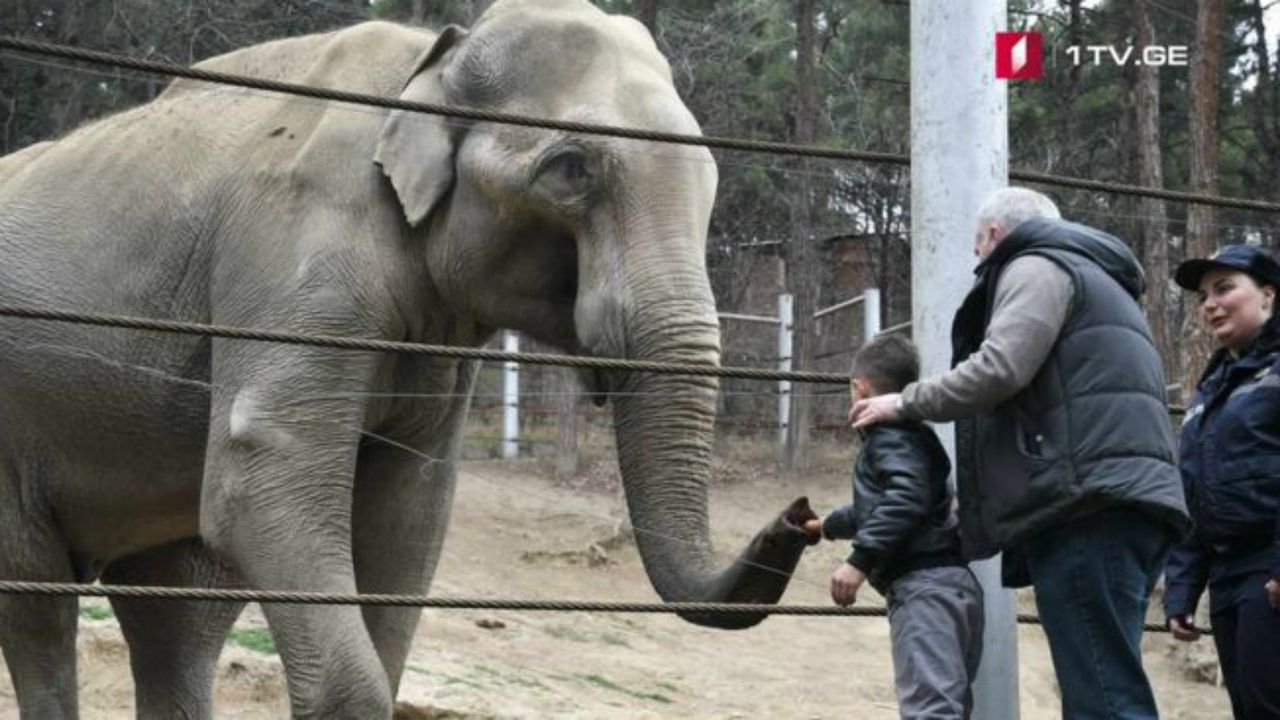 Georgia Zoo