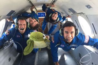 "Turtles" members Bob Hines, Matthew Dominick, Jasmin Moghbeli and Raja Chari, together with a plush turtle, float weightless aboard a Canadian jet during a parabolic flight.