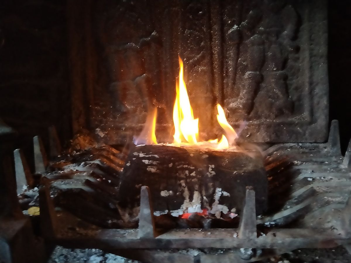 Oppo A5 2020 camera sample