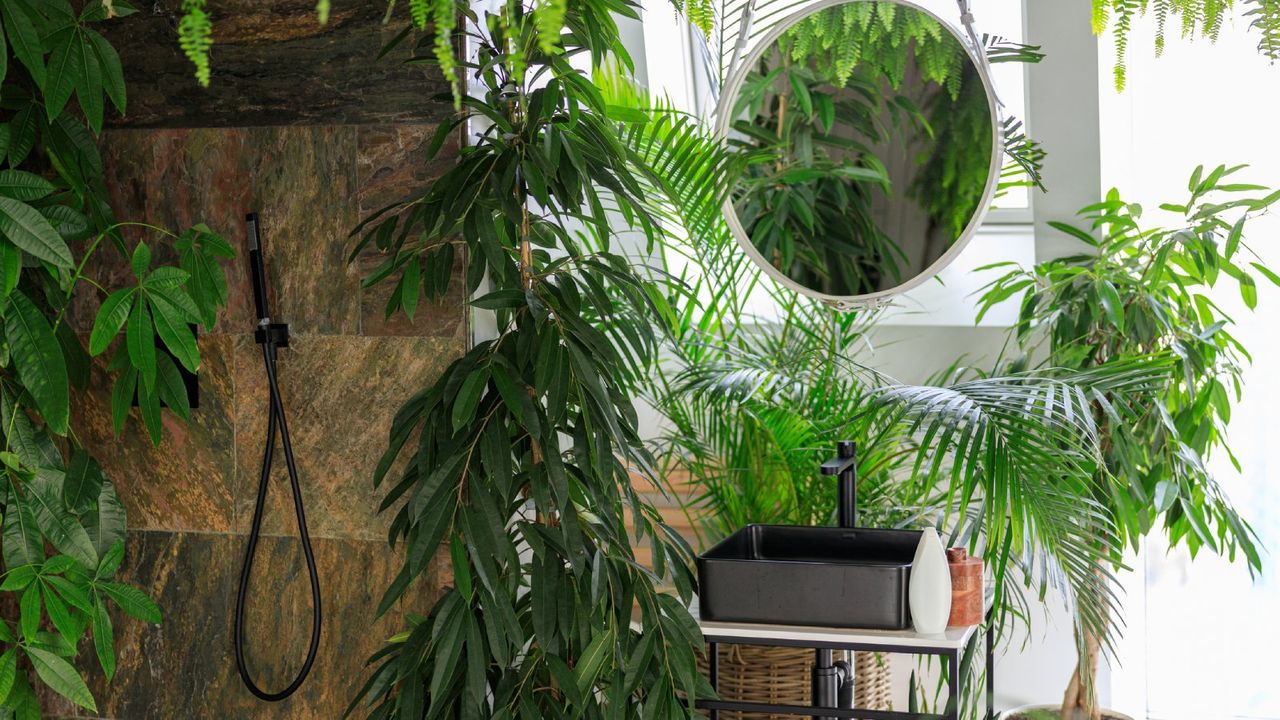 Many houseplants in a modern looking bathroom