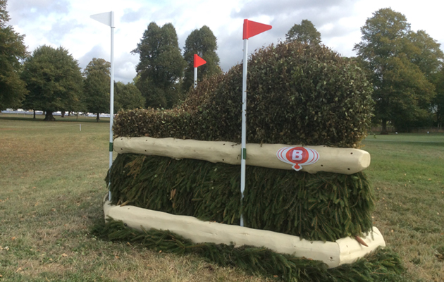 Blenheim Fences 2018
