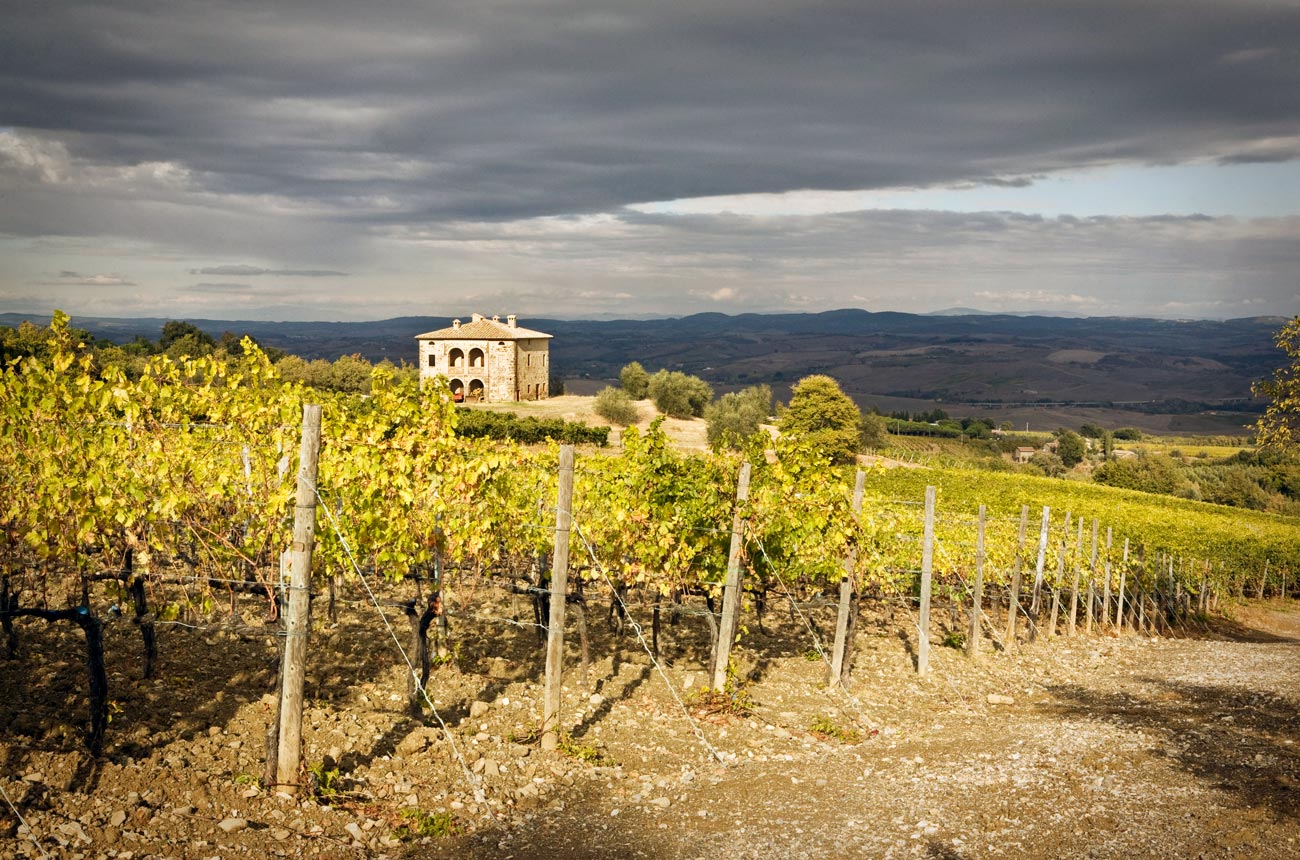 Biondi Santi Riserva wines are made from older vines from the estate