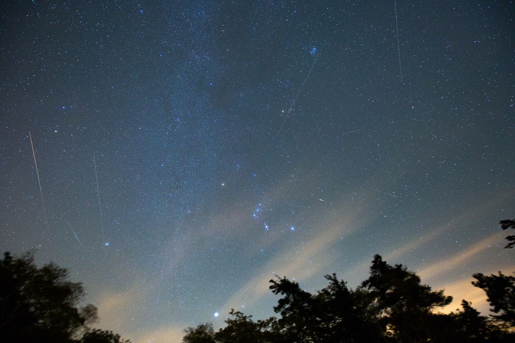 The Orionid Meteor Shower 2019 Peaks Tonight! Here's What To Expect | Space