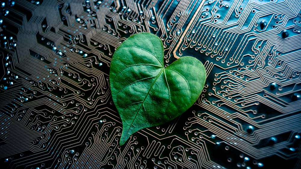 Leaf laying on a circuit board