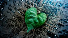 Leaf laying on a circuit board