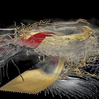 steamwise vorticity ina supercell thunderstorm simulation still