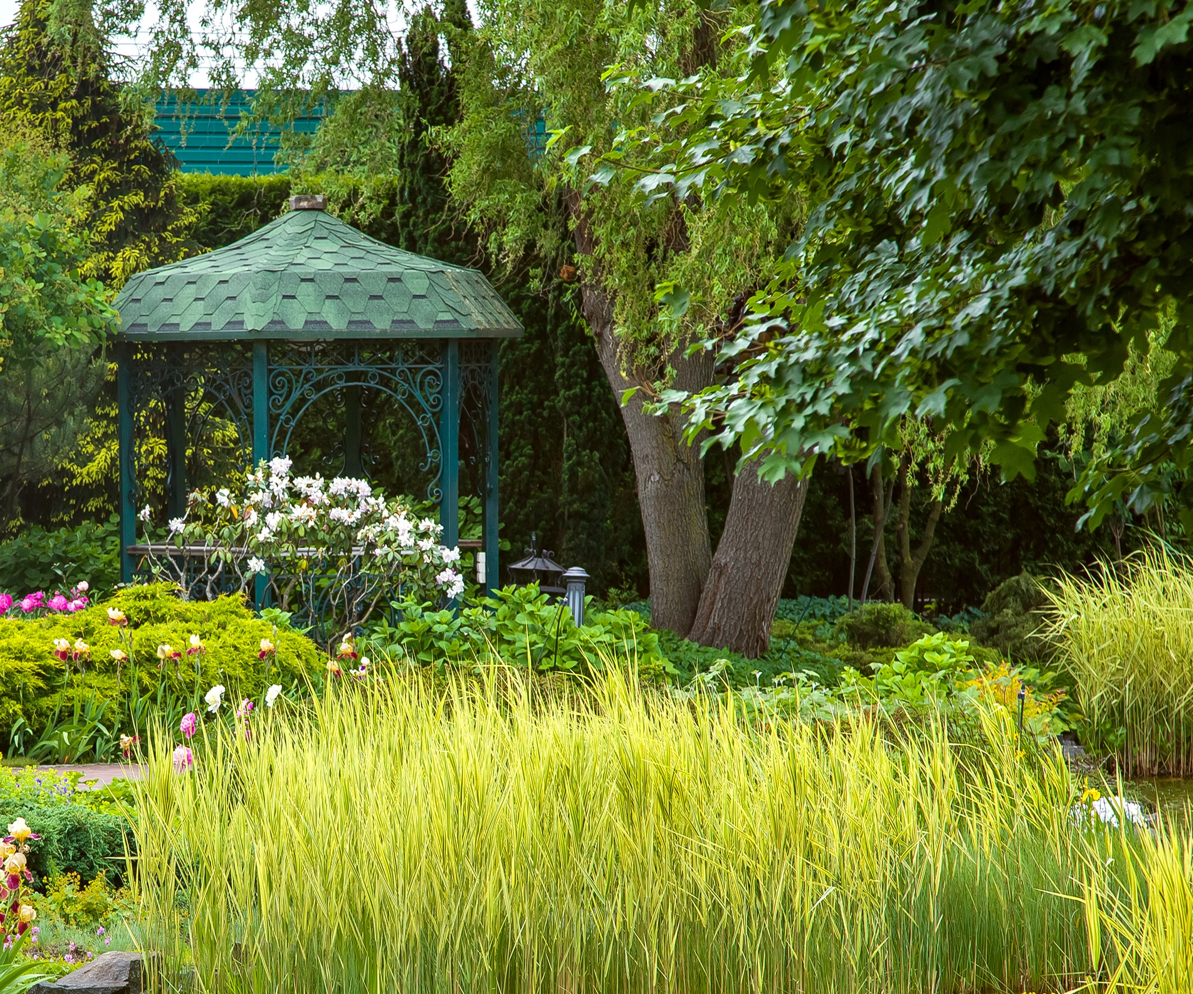 Gazebo and mature tree, pond