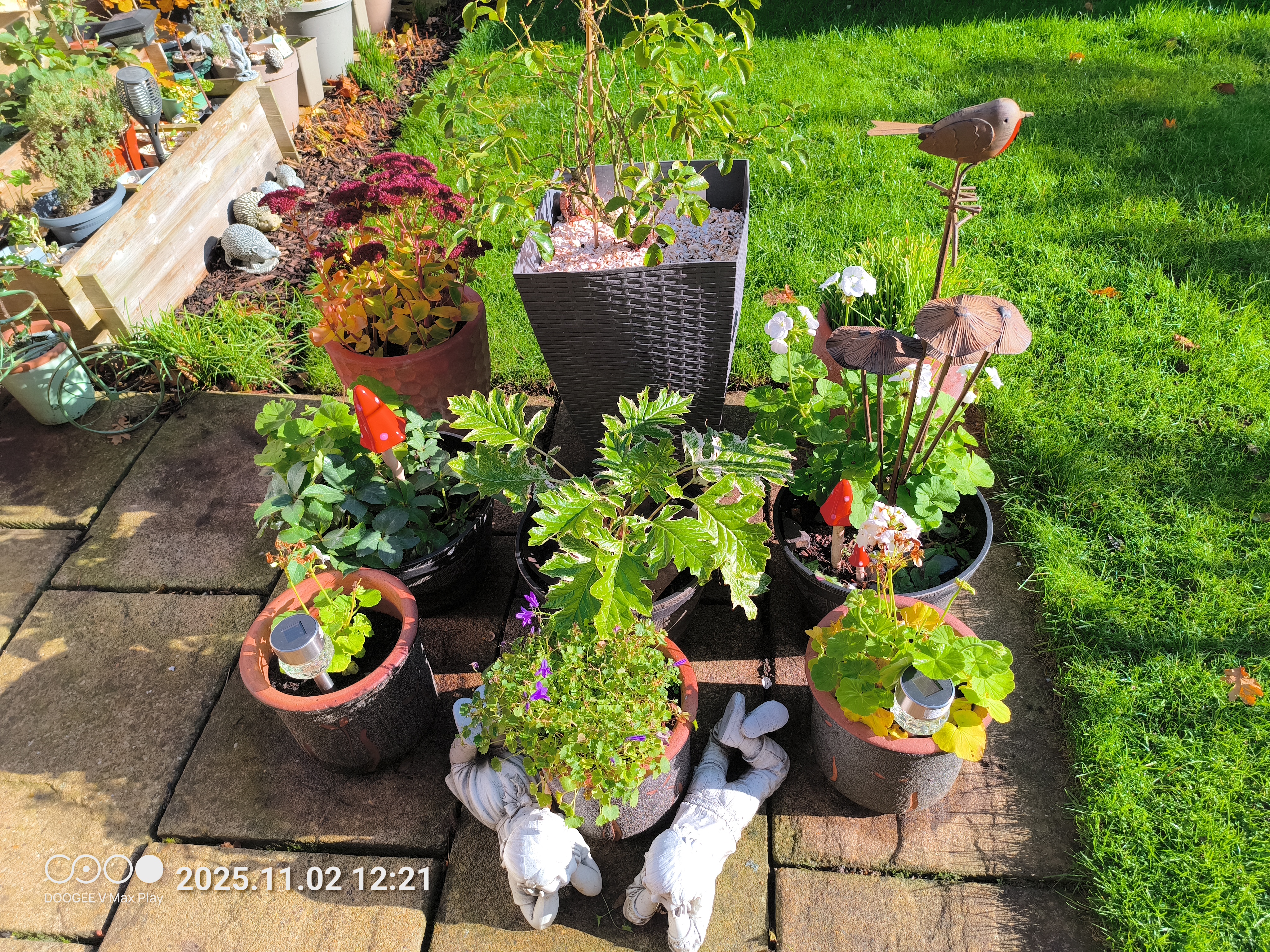 Doogee V Max Play Example images