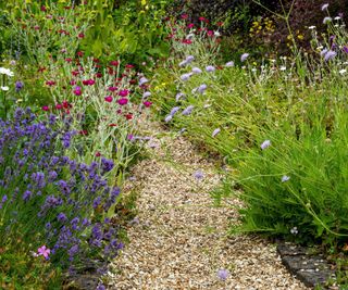 Gravel path, flower borders,