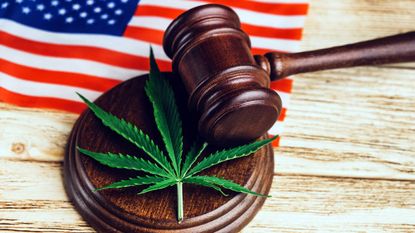 marijuana leaf with gavel and american flag