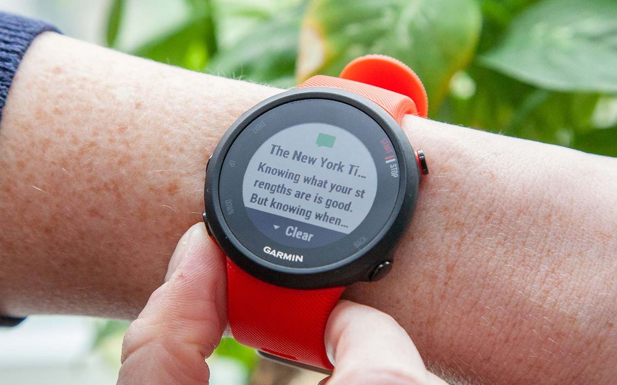 Garmin Forerunner 45 Review: Classic Gps Watch Gets A Fresh Face 