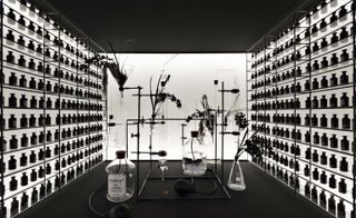 Jaime Hayon's 'Kuriopotek', a whimsical scent lab-cum-cabinet of curiosities