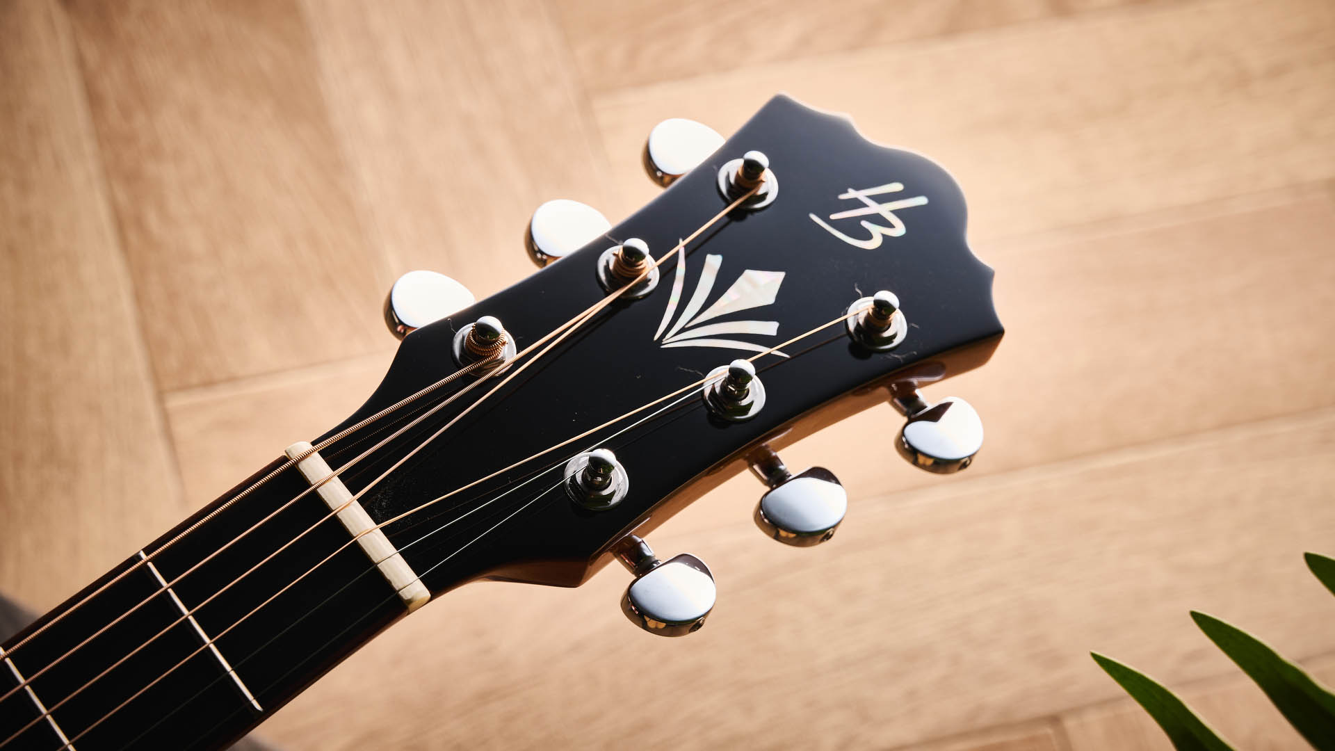 Harley Benton CLC-650SM-CE: the affordable cutaway electro-acoustic has a black top, natural back and sides, with an attractive arm-rest and tortoiseshell pickguard, and is here photographed against a wooden floor.