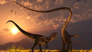 An artist's illustration of two dinosaurs battling at dawn. 