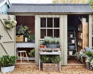 A pale green-gray National trust shed with storage ideas including ladder shelving, a potting table and a wooden shelving unit.