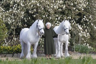 The Queen standing with her two ponies on her 96th birthday. 