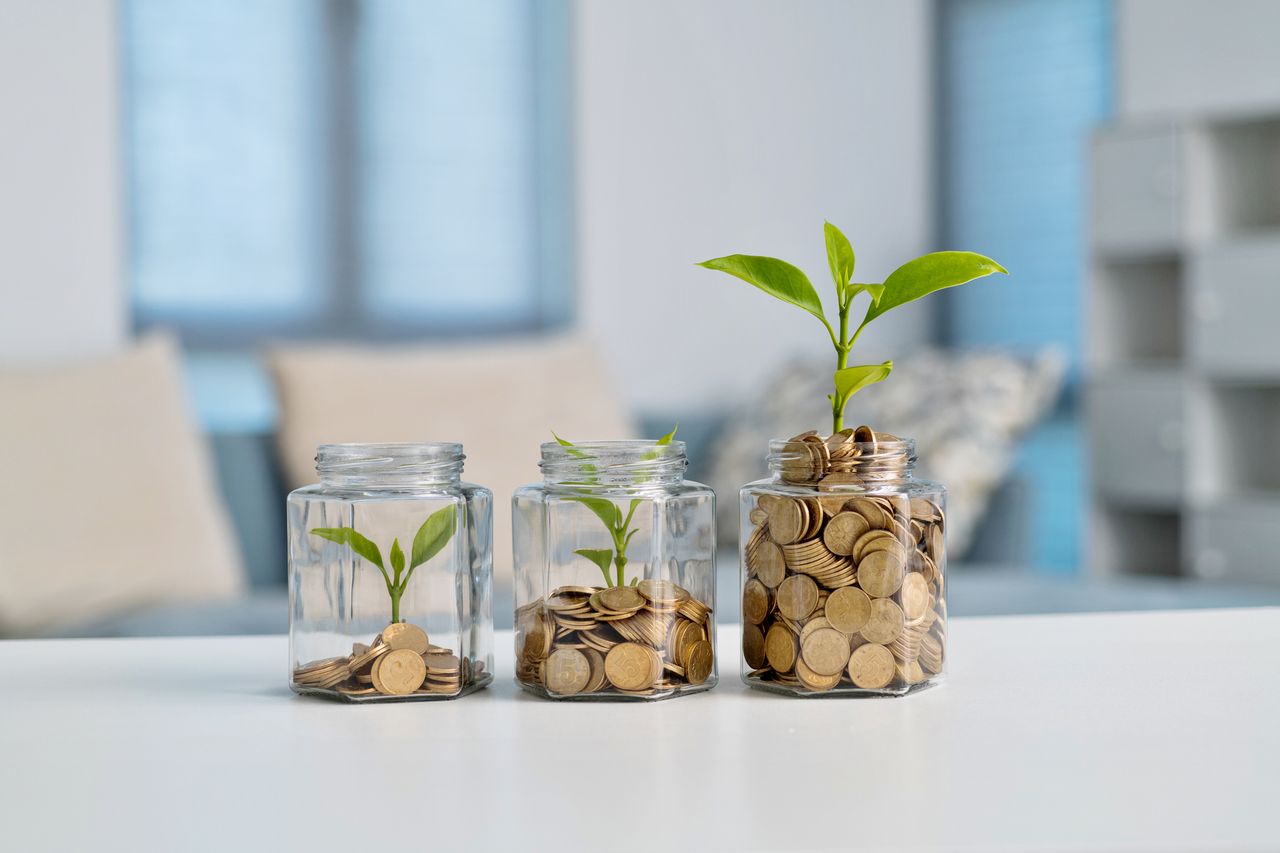 Green plant growing in glass jar with coins