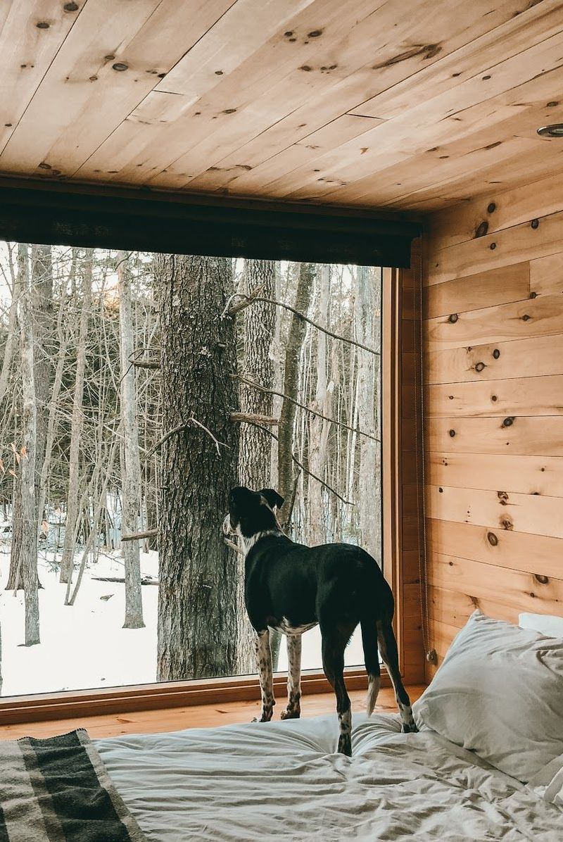 A Dog-Friendly Getaway