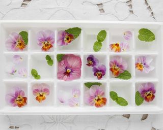 edible flowers in ice cubes