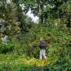 Mark Diacono explores Martin Crawford’s forest garden in Devon.