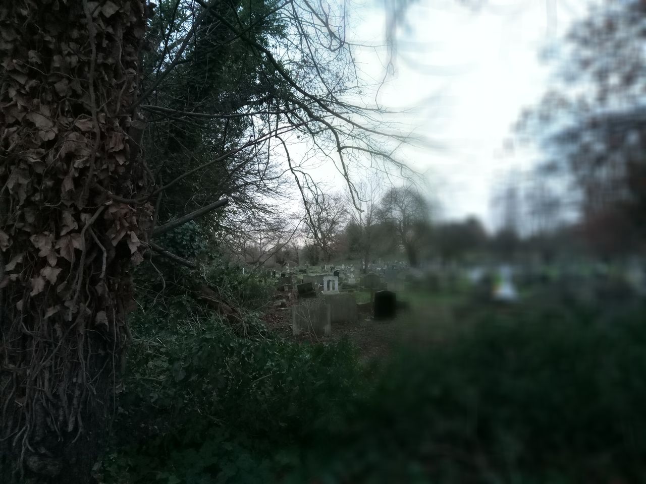 Seriously, the SLR background mode is absolute rubbish.