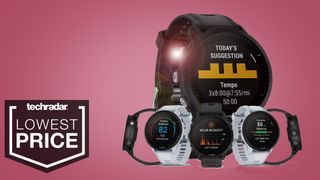 Garmin Forerunner 955 Solar