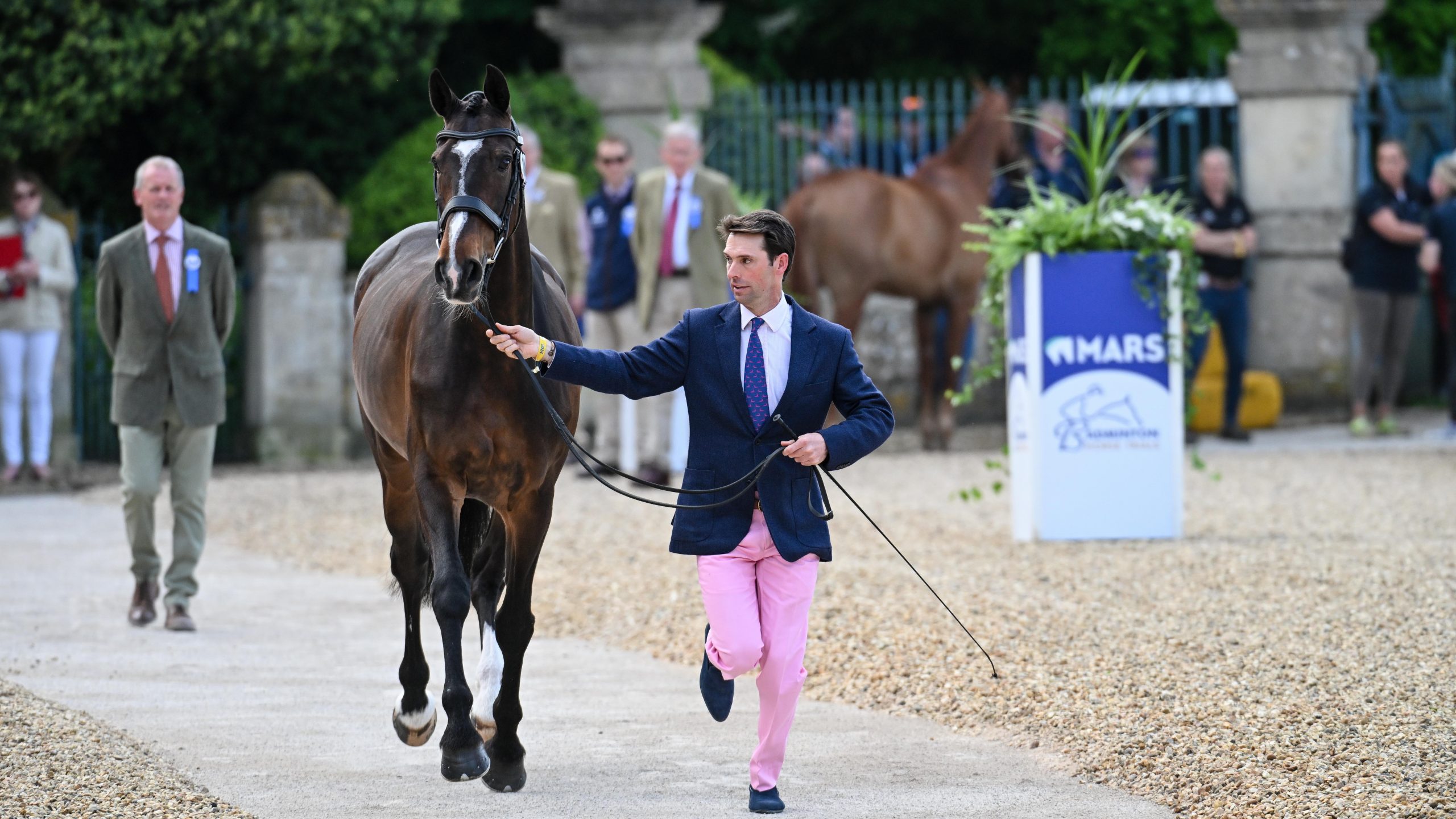 Badminton horse trials trot-up pictures: Harry Meade and Cavalier Crystal