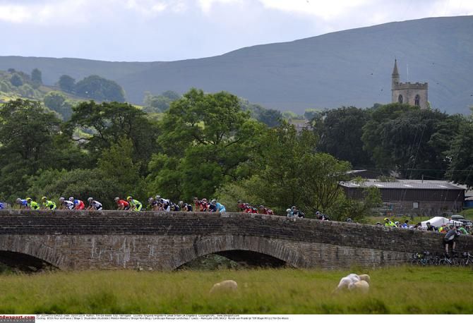 The peloton during the Tour de France