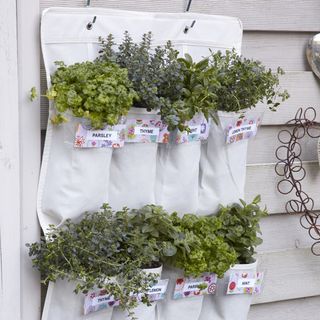 white wooden shoe racks having hessian pouches with green plants
