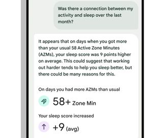 Google AI chatbot for Fitbit.